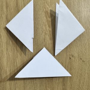 Pocnitori din hartie